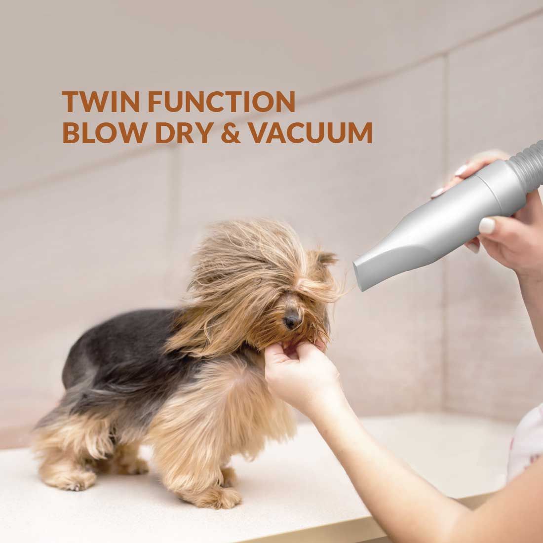 Buddy Pet Grooming Kit - Image 7